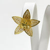 Flor Estelar de murralla